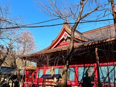 -井之头恩赐公园