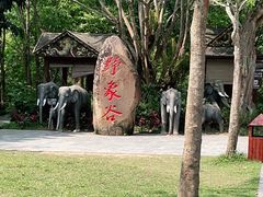 -野象谷景区