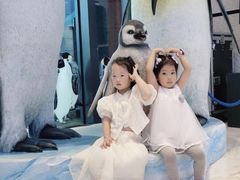 -帝企鹅自助餐厅•儿童岛•真企鹅(长隆企鹅酒店)