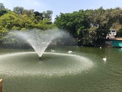 -深圳野生动物园