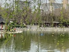 -莲湖公园