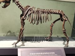 -大庆市博物馆