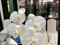 -南堂馆·新川菜(春熙路店)