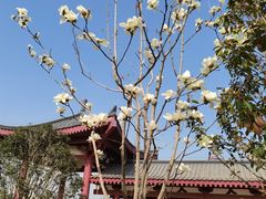 -状元虎.摇滚炒鸡.家常菜(义勇街店)