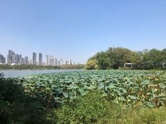 -东湖欢乐水世界