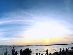 -宝安西湾红树林湿地公园