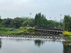 -洋湖国家湿地公园