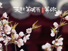 -迎泽公园