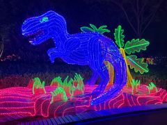 -南宫五洲植物乐园