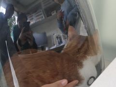 -小伙伴宠物医院•急重症转诊中心·老年专科·犬猫全科(北大街总院)