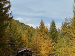 -苏木山森林公园