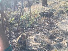 -南京金牛湖风景区