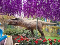 -萌宠亲子动物乐园(槐房万达店)