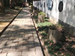 -上海佘山国家森林公园天马山园