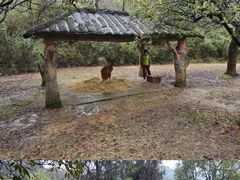 -杭州野生动物世界