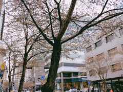 -海底捞(江南店)