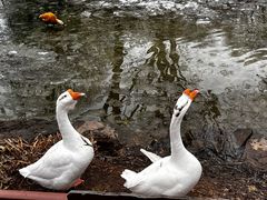 -济南野生动物世界