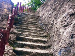 -金鸡山公园