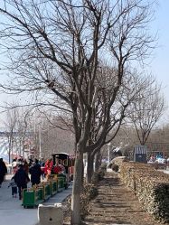 -优沃得自然教育农场·冰雪乐园·生日会·研学