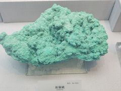 -湖南省地质博物馆