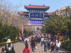 -西霞口神雕山野生动物世界