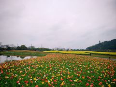 -径山花海