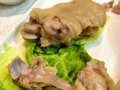 -丁老爷子苏香圆