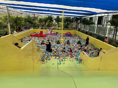 -南宫五洲植物乐园