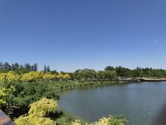 -东郊湿地公园