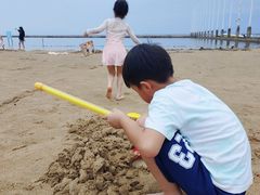 -碧海金沙