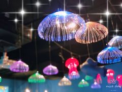 -常州海昌海洋探索馆