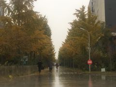 -星光影视园