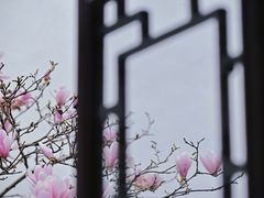 -耦园