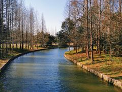 -上海滨江森林公园