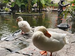 -顺德渔村·岭南一号