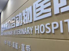 -德元·美联众合24小时动物医院(总院)