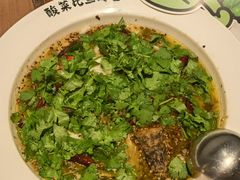 香菜酸菜鱼-新太二·鲜料川菜(群光广场店)