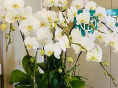 -证大大拇指广场(芳甸路店)