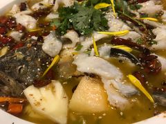 -花溪雨·森林餐厅(石基店)
