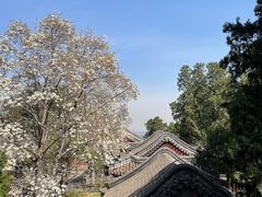 -香山公园