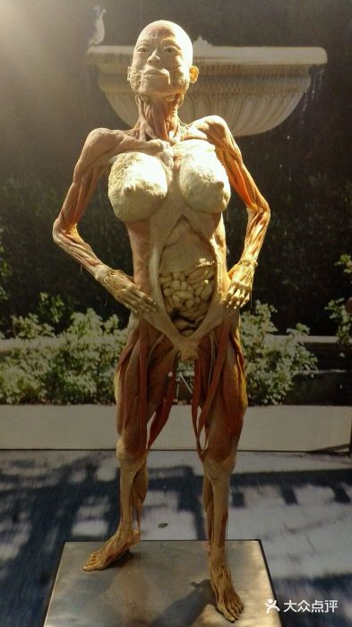 浙江省科技馆图片