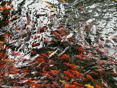 -水磨沟公园