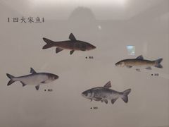 -湖州博物馆