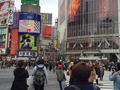 -涩谷全向十字路口