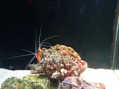 -暹罗海洋世界