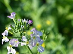 -昆山城市生态森林公园