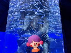 -哈尔滨波塞冬海底世界