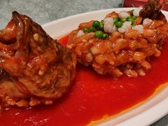 松鼠桂鱼-弘馆·镜湖印象