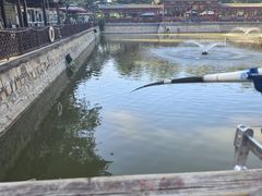 -尚庄度假村·庭台树下·户外烧烤·团建CS·轰趴营地(上庄水库店)