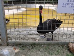 -长廊欢乐园